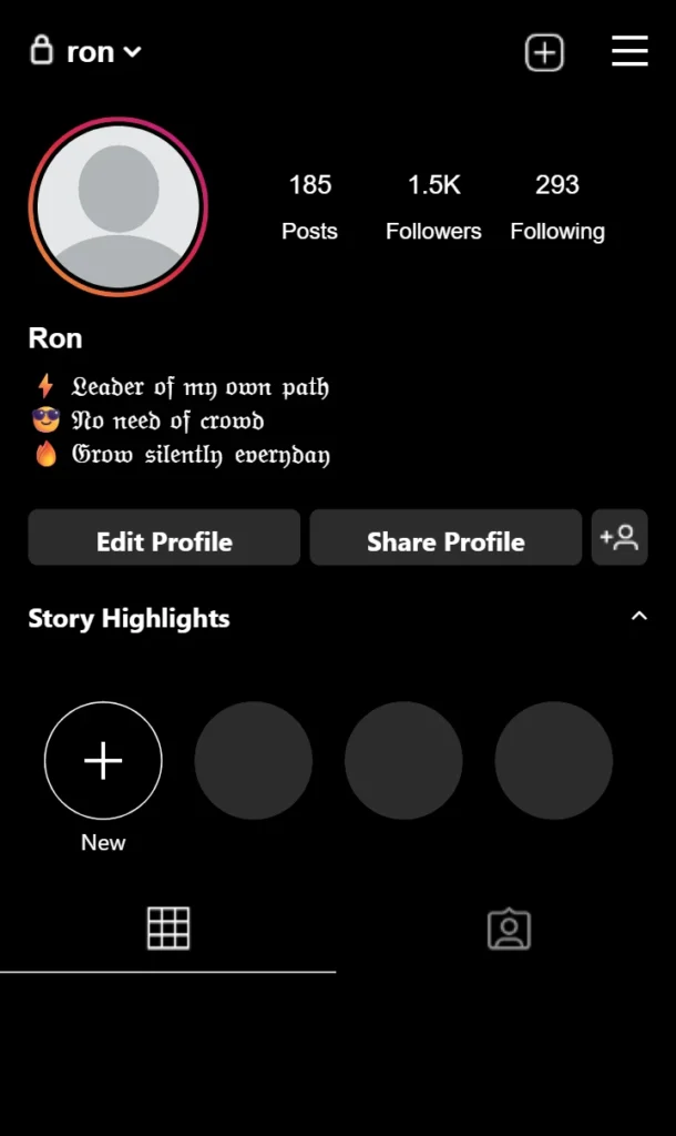 Sigma Male Bio For Instagram