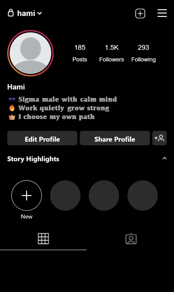 Sigma Boy Bio For Instagram