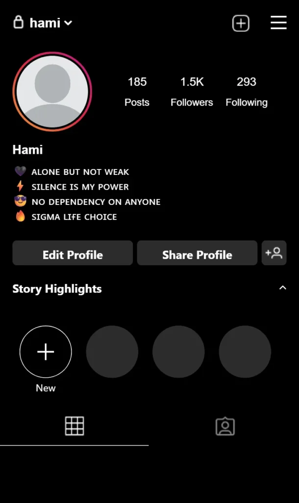 Instagram Bio For Boys Sigma