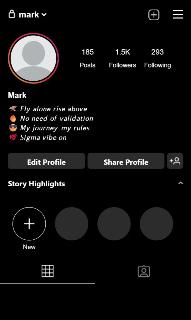 Instagram Bio For Sigma Male