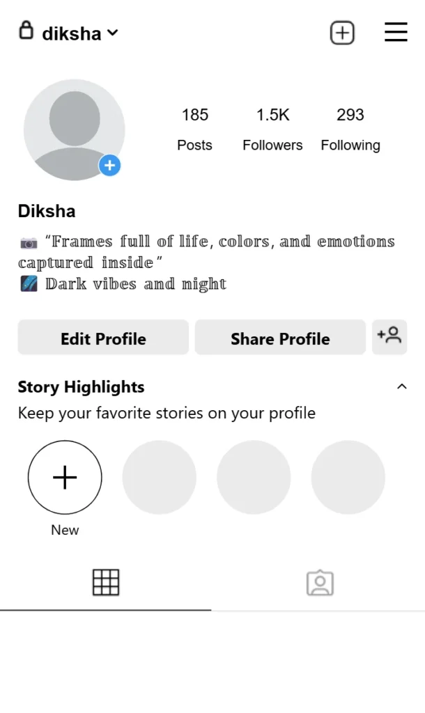 Photography Bio For Instagram Copy And Paste