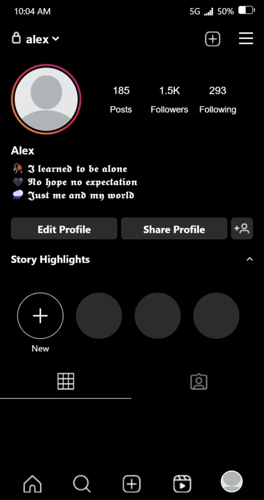 Alone Bio For Instagram In English
