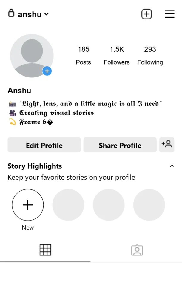 Wedding Photography Bio For Instagram
