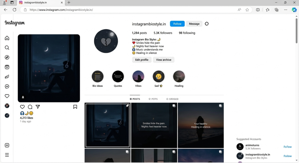 attitude bio for instagram