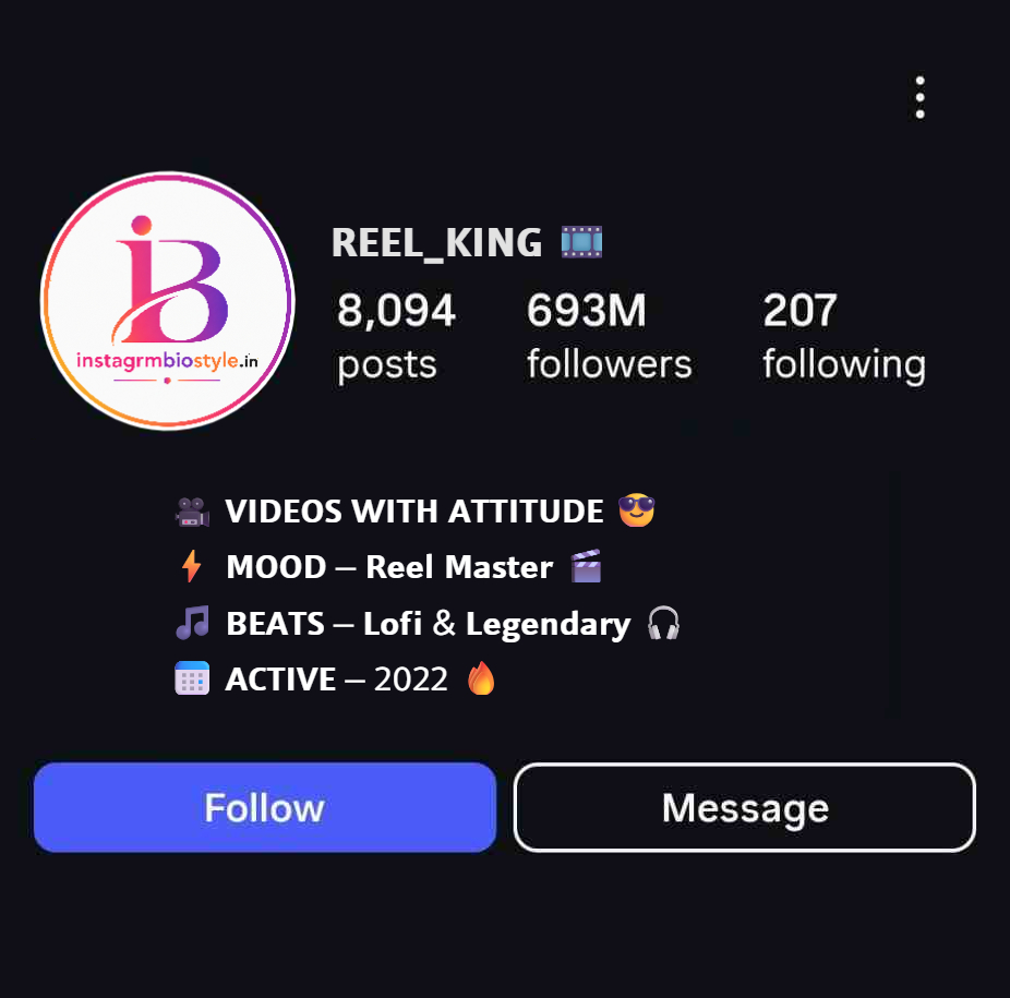 Stylish Video Creator Bio For Instagram