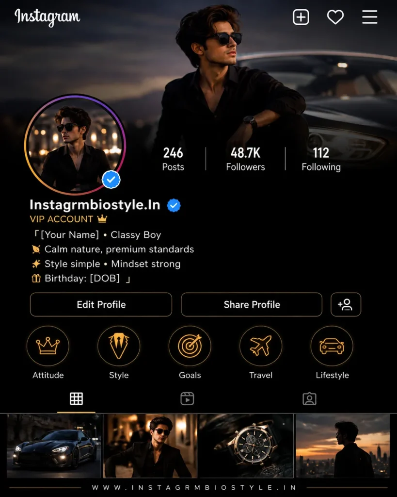 Instagram VIP bio for boys with attitude